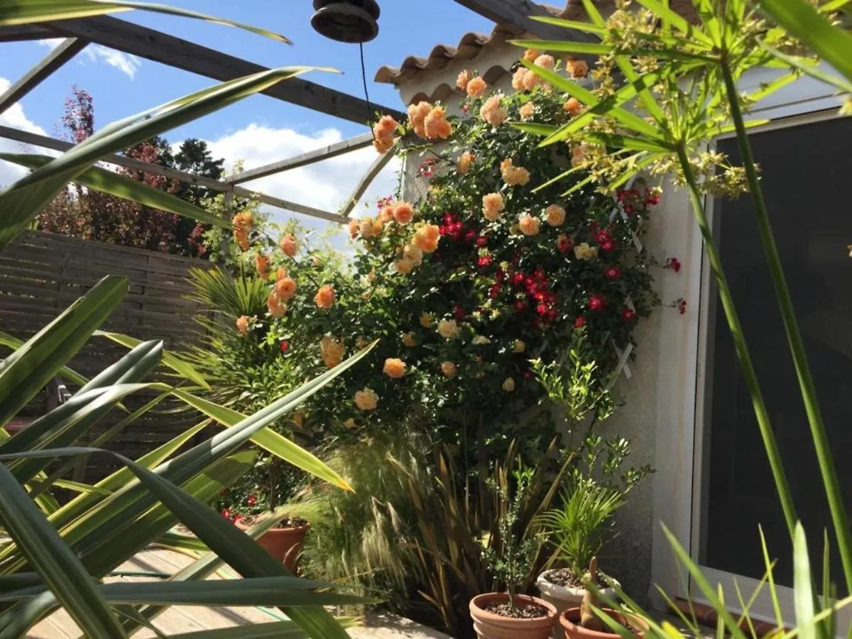 La Villa Vaihere En Camargue, L'Hibiscus Et Le Magnolia Saintes-Maries-de-la-Mer Francia